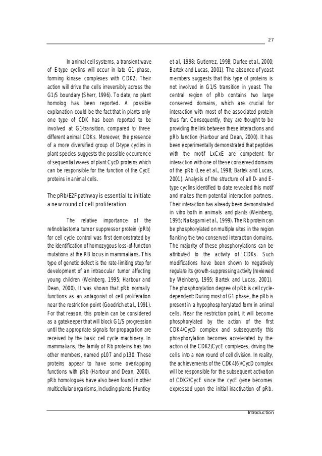 Lund university master thesis