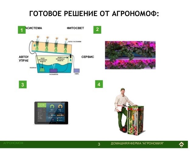 франшиза коды франшиза коды