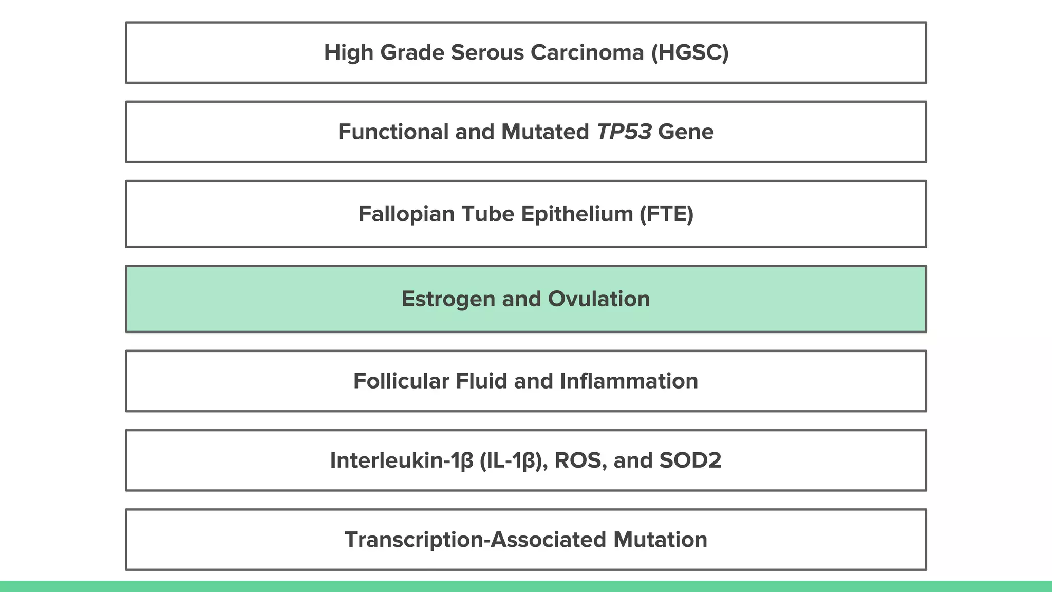 Estrogen and Ovulation
Follicular Fluid and Inflammation
Fallopian Tube Epithelium (FTE)
High Grade Serous Carcinoma (HGSC)
Transcription-Associated Mutation
Interleukin-1β (IL-1β), ROS, and SOD2
Functional and Mutated TP53 Gene
 