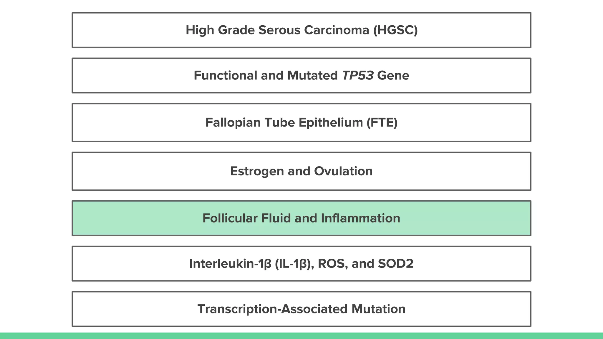 Estrogen and Ovulation
Follicular Fluid and Inflammation
Fallopian Tube Epithelium (FTE)
High Grade Serous Carcinoma (HGSC)
Transcription-Associated Mutation
Interleukin-1β (IL-1β), ROS, and SOD2
Functional and Mutated TP53 Gene
 