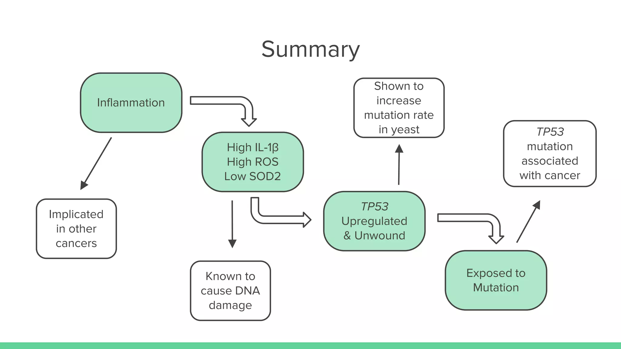 Inflammation
High IL-1β
High ROS
Low SOD2
Exposed to
Mutation
TP53
Upregulated
& Unwound
Known to
cause DNA
damage
Shown to
increase
mutation rate
in yeast
Summary
Implicated
in other
cancers
TP53
mutation
associated
with cancer
 