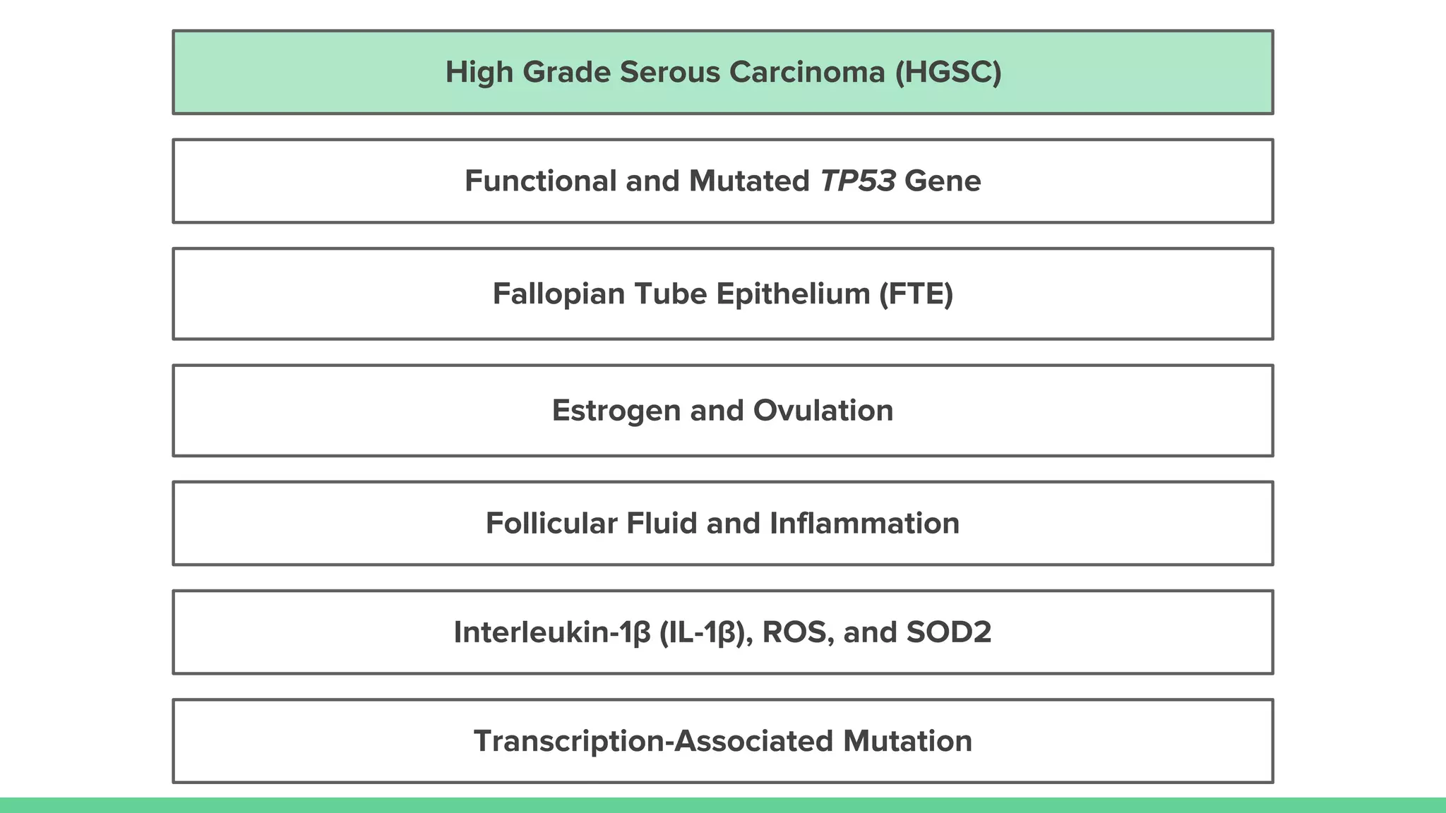 Estrogen and Ovulation
Follicular Fluid and Inflammation
Fallopian Tube Epithelium (FTE)
High Grade Serous Carcinoma (HGSC)
Transcription-Associated Mutation
Interleukin-1β (IL-1β), ROS, and SOD2
Functional and Mutated TP53 Gene
 