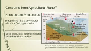 Local agricultural runoff contributes
toward a national problem
Concerns from Agricultural Runoff
Nitrogen and Phosphorus
Eutrophication is the driving force
behind the Gulf hypoxia crisis
Schematic diagram developed by Tulane University and available at
http://images.universityherald.com/data/images/full/5788/hypoxia.png?w=60
0
 