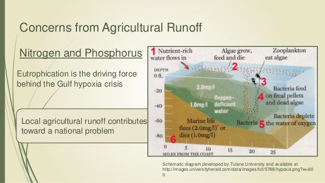 Agricultural Runoff
