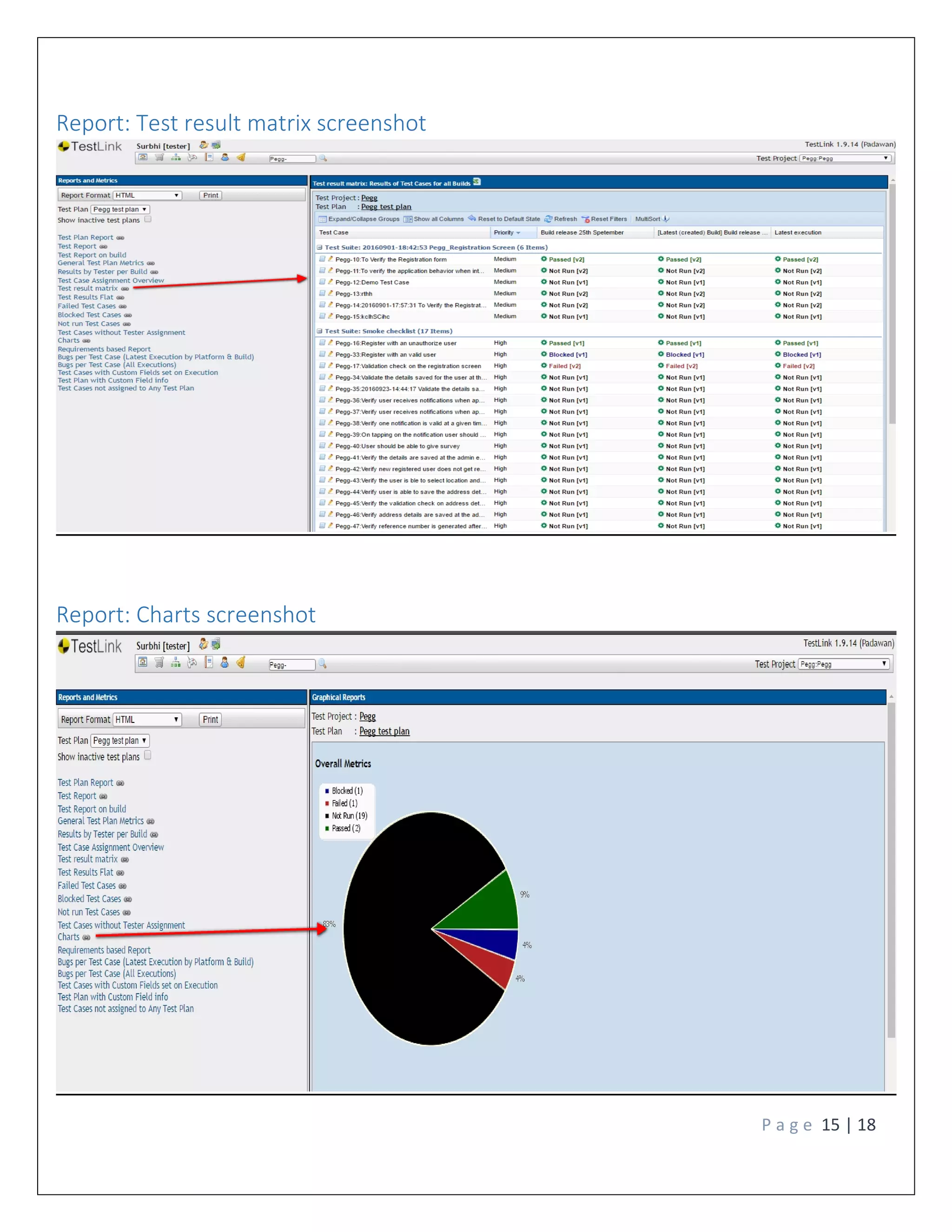 P a g e 15 | 18
Report: Test result matrix screenshot
Report: Charts screenshot
 