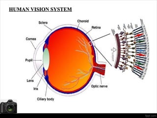 vision system | PPT