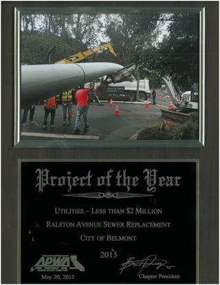project of the year1