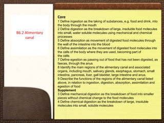 Core
1 Define ingestion as the taking of substances, e.g. food and drink, into
the body through the mouth
2 Define digestion as the breakdown of large, insoluble food molecules
into small, water soluble molecules using mechanical and chemical
processes
5 Define absorption as movement of digested food molecules through
the wall of the intestine into the blood
6 Define assimilation as the movement of digested food molecules into
the cells of the body where they are used, becoming part of
the cells
7 Define egestion as passing out of food that has not been digested, as
faeces, through the anus
8 Identify the main regions of the alimentary canal and associated
organs, including mouth, salivary glands, esophagus, stomach, small
intestine, pancreas, liver, gall bladder, large intestine and anus.
9 Describe the functions of the regions of the alimentary canal listed
above, in relation to ingestion, digestion, absorption, assimilation and
egestion of food
Supplement
3 Define mechanical digestion as the breakdown of food into smaller
pieces without chemical change to the food molecules
4 Define chemical digestion as the breakdown of large, insoluble
molecules into small, soluble molecules
B6.2 Alimentary
canal
 