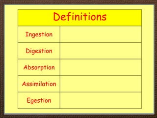 Definitions
Ingestion
Digestion
Absorption
Assimilation
Egestion
 