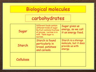 Biological molecules
carbohydrates
Sugar
Different foods contain
different kinds of sugar.
Eg fruit contains fructose
or glucose. Lactose is in
milk. Table sugar is
sucrose.
Sugar gives us
energy, so we call
it an energy food.
Starch
Starch is found
particularly in
bread, potatoes
and cereals.
Starch is a storage
molecule, but it does
provide us with
energy.
Cellulose
 