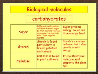 Biological molecules
carbohydrates
Sugar
Different foods contain
different kinds of sugar.
Eg fruit contains fructose
or glucose. Lactose is in
milk. Table sugar is
sucrose.
Sugar gives us
energy, so we call
it an energy food.
Starch
Starch is found
particularly in
bread, potatoes
and cereals.
Starch is a storage
molecule, but it does
provide us with
energy.
Cellulose
Cellulose is found
in plant cell walls
It is a structural
molecule, and
supports the plant
cell.
 