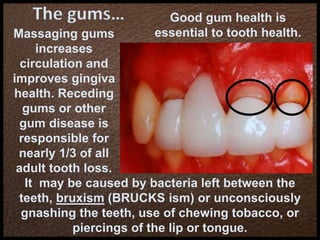 The gums…
Massaging gums
increases
circulation and
improves gingiva
health. Receding
gums or other
gum disease is
responsible for
nearly 1/3 of all
adult tooth loss.
Good gum health is
essential to tooth health.
It may be caused by bacteria left between the
teeth, bruxism (BRUCKS ism) or unconsciously
gnashing the teeth, use of chewing tobacco, or
piercings of the lip or tongue.
 