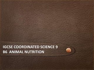 IGCSE COORDINATED SCIENCE 9
B6 ANIMAL NUTRITION
 
