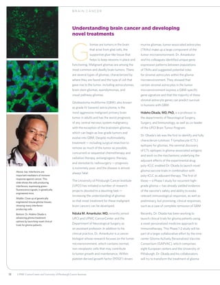 12 UPMC CancerCenter and University of Pittsburgh Cancer Institute
Understanding brain cancer and developing
novel treatments
G
liomas are tumors in the brain
that arise from glial cells, the
supportive glue-like tissue that
helps to keep neurons in place and
functioning. Malignant gliomas are among the
most common and deadly brain tumors. There
are several types of gliomas, characterized by
where they are found and the type of cell that
gave rise to the tumor, including astrocytomas,
brain stem gliomas, ependymomas, and
visual pathway gliomas.
Glioblastoma multiforme (GBM), also known
as grade IV (severe) astrocytoma, is the
most aggressive malignant primary brain
tumor in adults and has the worst prognosis
of any central nervous system malignancy,
with the exception of the brainstem gliomas,
which can begin as low-grade tumors and
evolve into GBM. Despite multimodality
treatment—including surgical resection to
remove as much of the tumor as possible,
concurrent or sequential chemotherapy and
radiation therapy, antiangiogenic therapy,
and stereotactic radiosurgery—prognosis
is extremely poor, and the disease is almost
always fatal.
The University of Pittsburgh Cancer Institute
(UPCI) has initiated a number of research
projects devoted to a daunting task—
increasing the understanding of gliomas
so that novel treatment for these malignant
brain cancers can be developed.
Nduka M. Amankulor, MD, recently joined
UPCI and UPMC CancerCenter and the
Department of Neurological Surgery as
an assistant professor. In addition to his
clinical practice, Dr. Amankulor is a cancer
biologist whose research focuses on the tumor
microenvironment, which contains normal,
non-neoplastic cells that may contribute
to tumor growth and maintenance. Within
platelet-derived growth factor (PDGF)-driven
murine gliomas, tumor-associated astrocytes
(TAAs) make up a large component of the
tumor microenvironment. Dr. Amankulor
and his colleagues identified unique gene
expression patterns between populations
of TAAs and suggested potential roles
for stromal astrocytes within the glioma
microenvironment. They showed that
certain stromal astrocytes in the tumor
microenvironment express a GBM-specific
gene signature and that the majority of these
stromal astrocyte genes can predict survival
in humans with GBM.
Hideho Okada, MD, PhD, is a professor in
the departments of Neurological Surgery,
Surgery, and Immunology, as well as co-leader
of the UPCI Brain Tumor Program.
Dr. Okada’s lab was the first to identify and fully
characterize cytotoxic T-lymphocyte (CTL)
epitopes for gliomas. His seminal discovery
of CTL epitopes in glioma-associated antigens
and work on the mechanisms underlying the
adjuvant effects of the experimental drug
poly-ICLC enabled Dr. Okada to launch novel
glioma vaccine trials in combination with
poly-ICLC as adjuvant therapy. The first of
these—a Phase 1 study for recurrent high-
grade glioma—has already yielded evidence
of the vaccine’s safety and ability to evoke
relevant immunological responses, as well as
preliminary, but promising, clinical responses,
such as a case of complete remission of GBM.
Recently, Dr. Okada has been working to
launch clinical trials for glioma patients using
a novel personalized medicine approach to
immunotherapy. This Phase 1-2 study will be
part of a larger collaborative effort by the nine-
center Glioma Actively Personalized Vaccine
Consortium (GAPVAC), which comprises
eight European centers and the University of
Pittsburgh. Dr. Okada and his collaborators
will try to transform the treatment of glioma
B R AIN C ANCER
Above, top: Interferons are
important mediators of immune
response against cancer. This
slide shows the cells producing
interferons, expressing green-
fluorescence signals, in genetically
engineered mice.
Middle: Close up of genetically
engineered mouse glioma tissues,
showing many interferon-
producing cells.
Bottom: Dr. Hideho Okada is
advancing glioma treatment
options by launching novel clinical
trials for glioma patients.
 