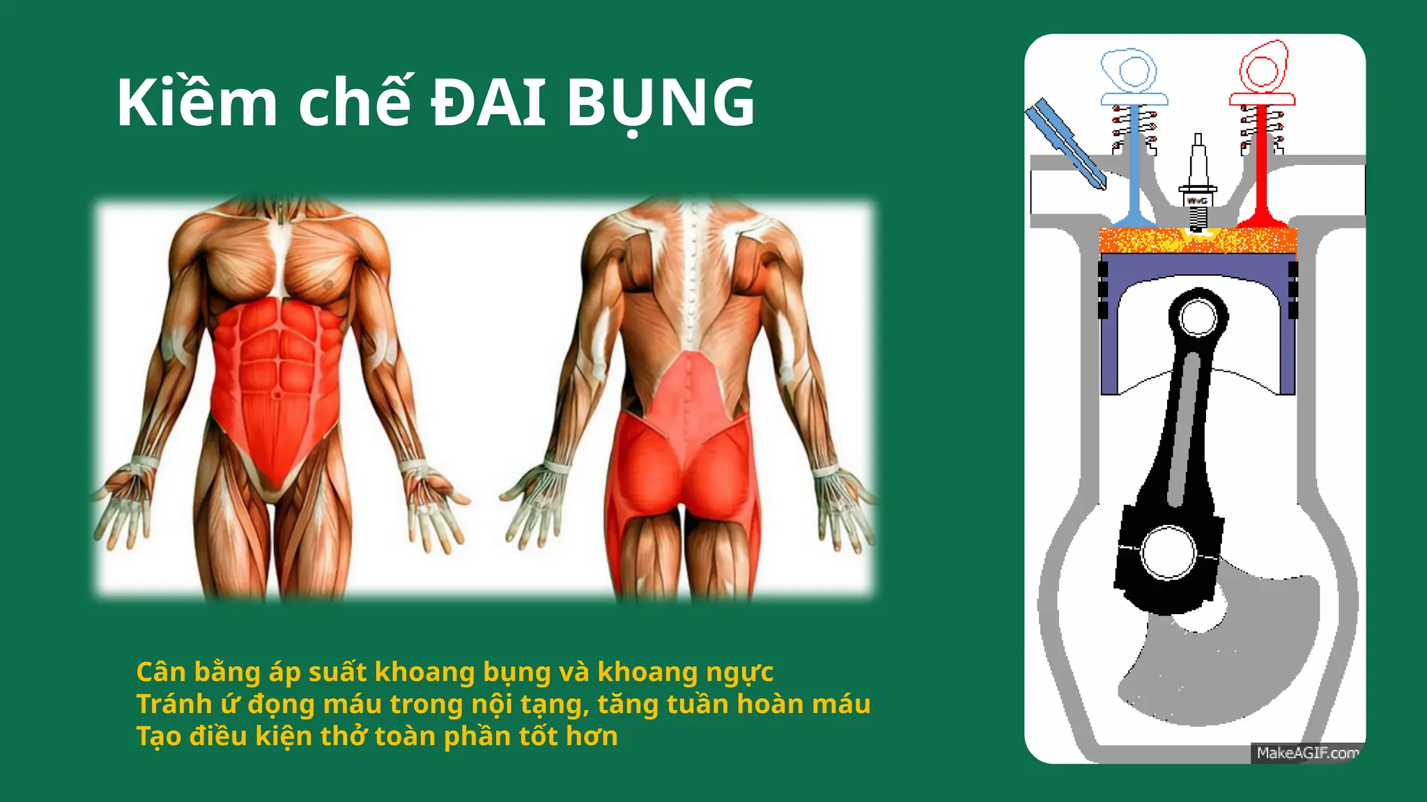 Kiềm chế ĐAI BỤNG
Cân bằng áp suất khoang bụng và khoang ngực
Tránh ứ đọng máu trong nội tạng, tăng tuần hoàn máu
Tạo điều kiện thở toàn phần tốt hơn
 