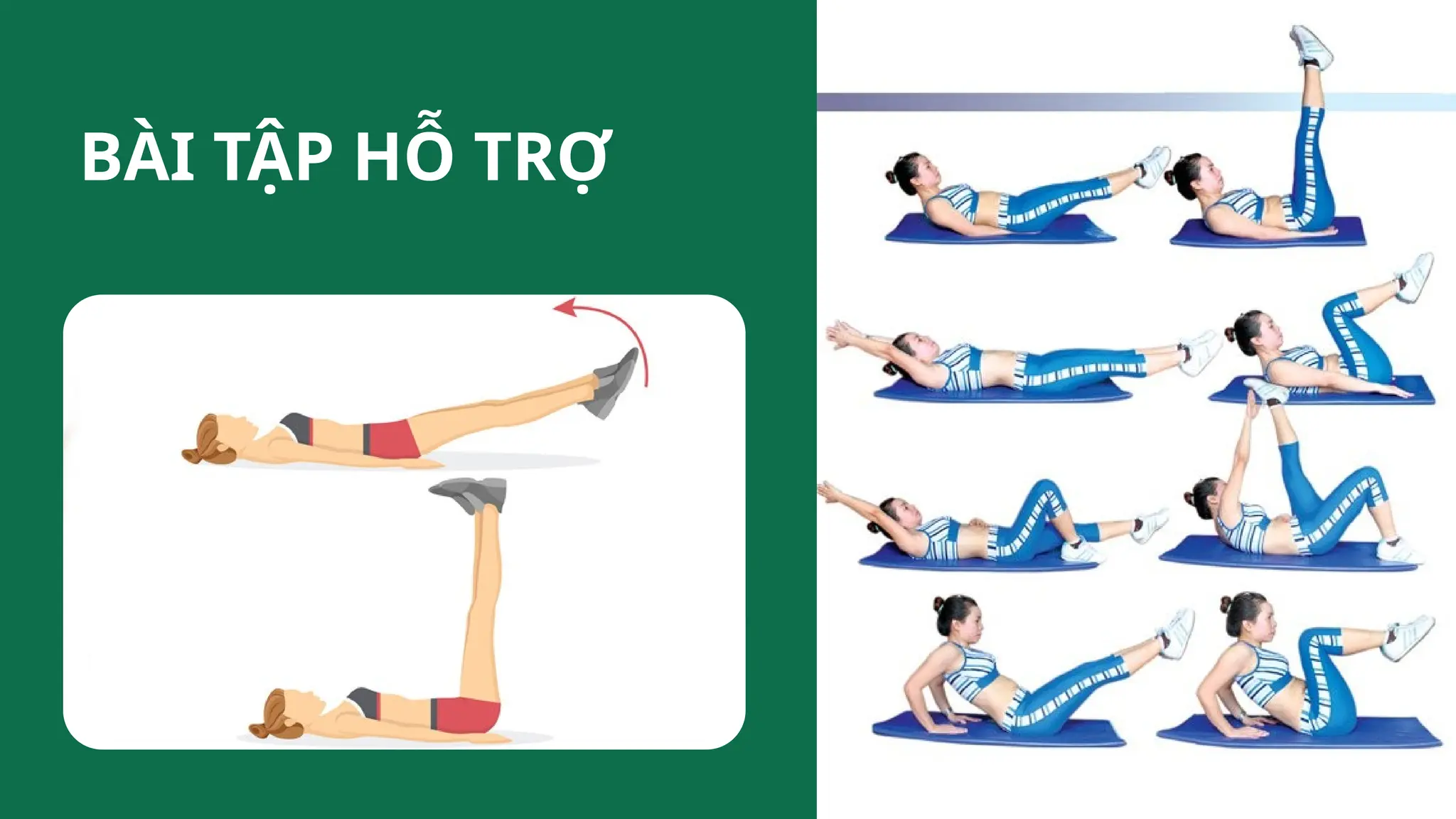 BÀI TẬP HỖ TRỢ
 