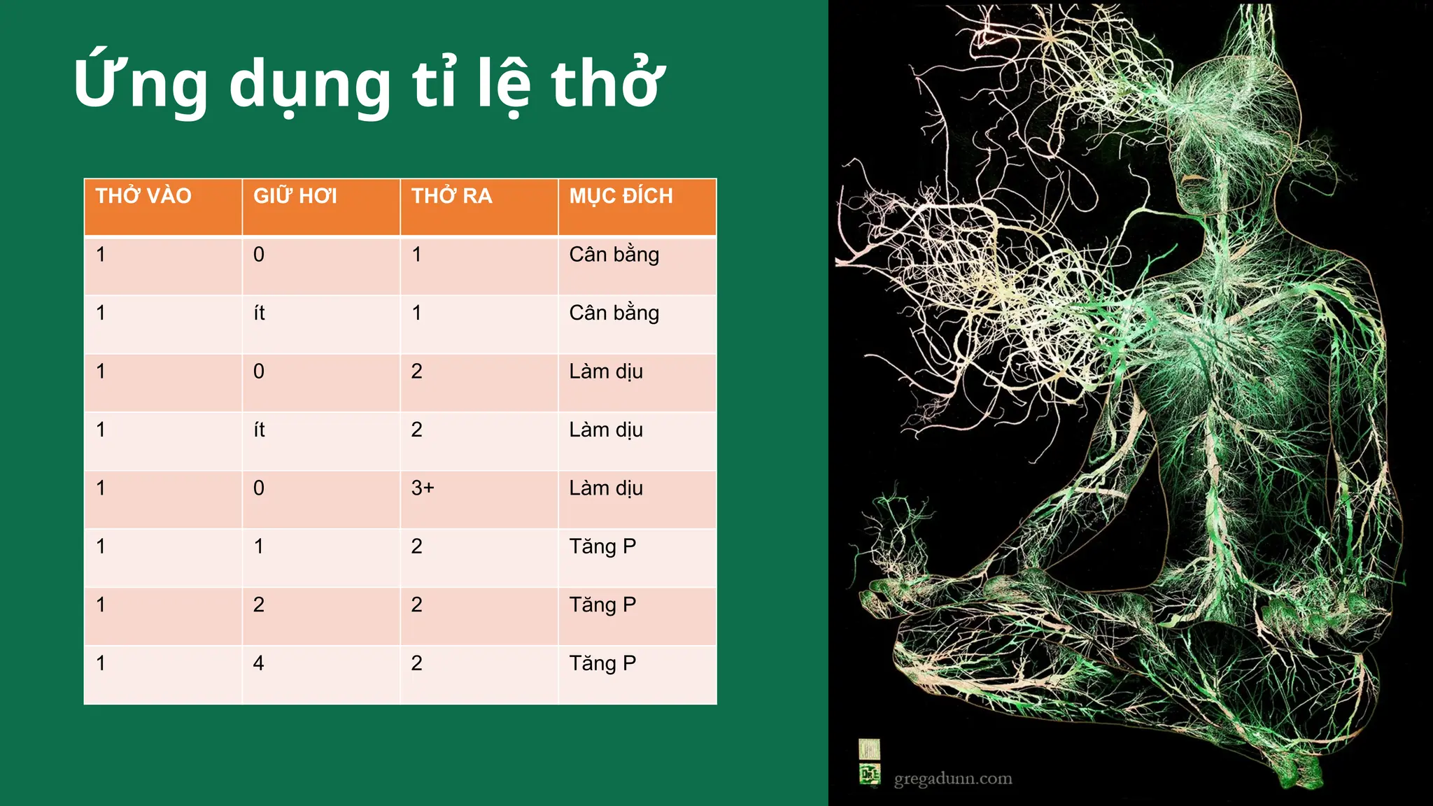 THỞ VÀO GIỮ HƠI THỞ RA MỤC ĐÍCH
1 0 1 Cân bằng
1 ít 1 Cân bằng
1 0 2 Làm dịu
1 ít 2 Làm dịu
1 0 3+ Làm dịu
1 1 2 Tăng P
1 2 2 Tăng P
1 4 2 Tăng P
Ứng dụng tỉ lệ thở
 