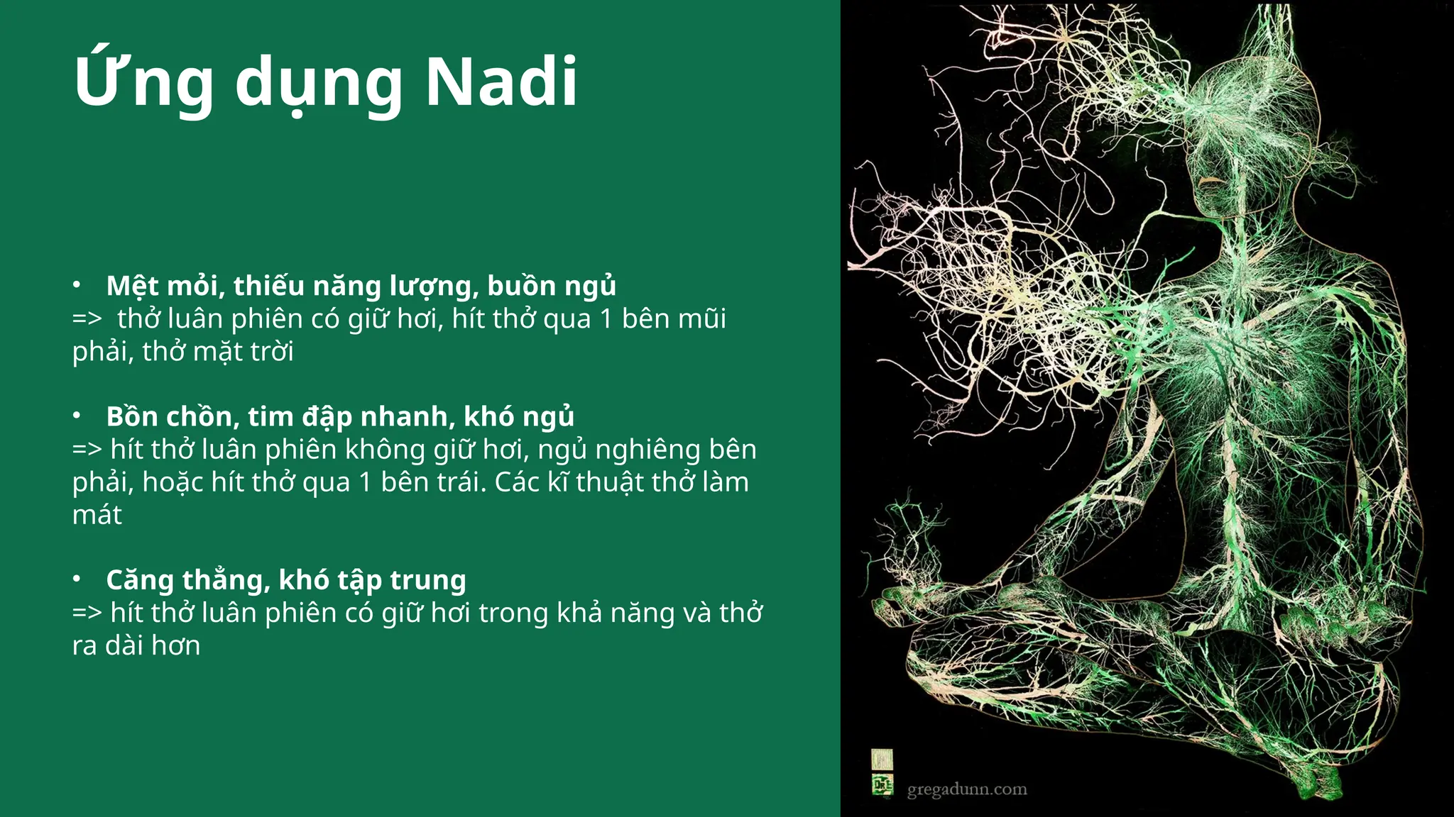 Ứng dụng Nadi
• Mệt mỏi, thiếu năng lượng, buồn ngủ
=> thở luân phiên có giữ hơi, hít thở qua 1 bên mũi
phải, thở mặt trời
• Bồn chồn, tim đập nhanh, khó ngủ
=> hít thở luân phiên không giữ hơi, ngủ nghiêng bên
phải, hoặc hít thở qua 1 bên trái. Các kĩ thuật thở làm
mát
• Căng thẳng, khó tập trung
=> hít thở luân phiên có giữ hơi trong khả năng và thở
ra dài hơn
 