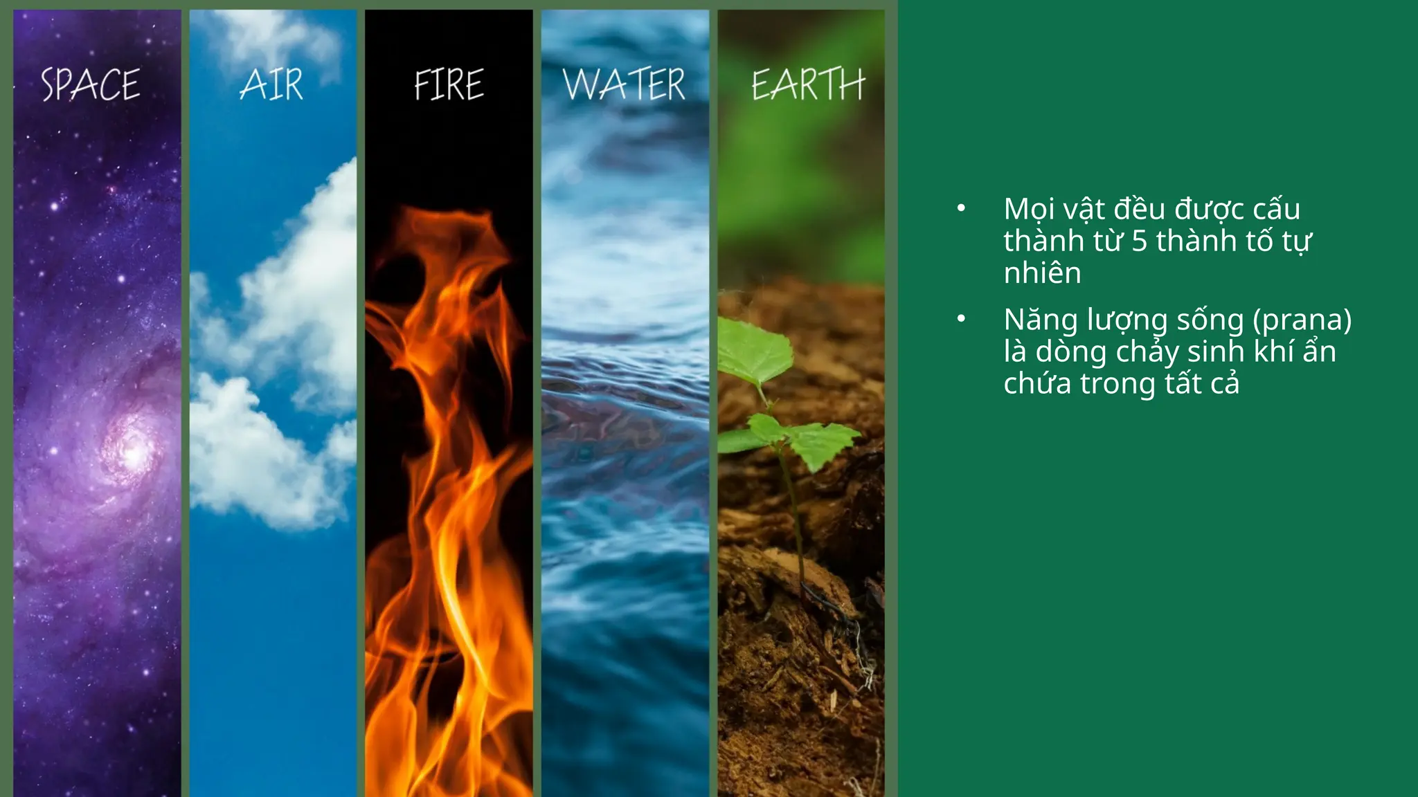 • Mọi vật đều được cấu
thành từ 5 thành tố tự
nhiên
• Năng lượng sống (prana)
là dòng chảy sinh khí ẩn
chứa trong tất cả
 