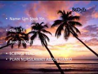 B6D5E1
• Name: Lim Sook Yin
• Class: 1R
• Band: B6D5E1
• SCIENCE TEACHER:
• PUAN NURSILAWATI ABDUL HAMID
 