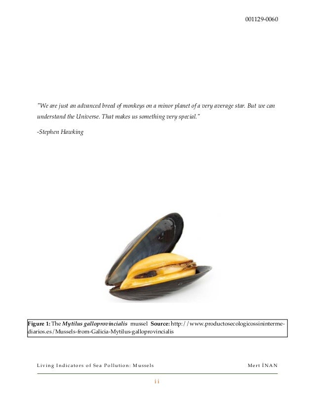Dissertation proposal construction law