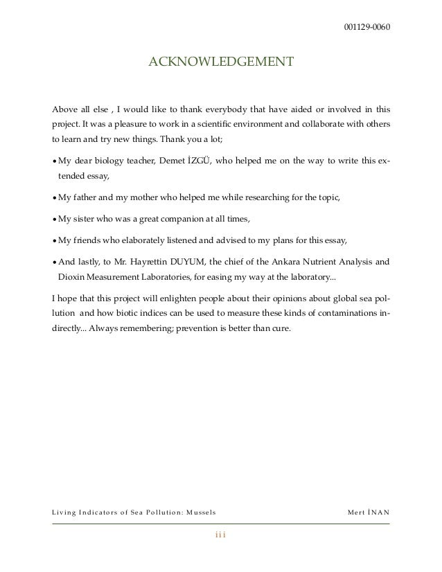 Essay on is money everything in the world