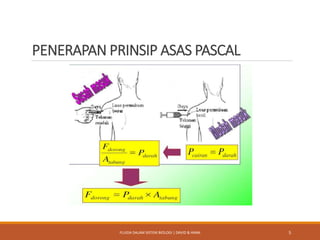 PENERAPAN PRINSIP ASAS PASCAL
5FLUIDA DALAM SISTEM BIOLOGI | DAVID & HANA
 