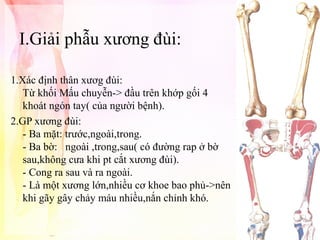 I.Giải phẫu xương đùi:
1.Xác định thân xươg đùi:
Từ khối Mấu chuyễn-> đầu trên khớp gối 4
khoát ngón tay( của người bệnh).
2.GP xương đùi:
- Ba mặt: trước,ngoài,trong.
- Ba bờ: ngoài ,trong,sau( có đường rap ở bờ
sau,không cưa khi pt cắt xương đùi).
- Cong ra sau và ra ngoài.
- Là một xương lớn,nhiều cơ khoe bao phủ->nên
khi gãy gây chảy máu nhiều,nắn chỉnh khó.

 