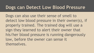 Dogs can Detect Low Blood Pressure 
Dogs can also use their sense of smell to 
detect low blood pressure in their owner(s), if 
properly trained. The trained dog will use a 
sign they learned to alert their owner that 
his/her blood pressure is running dangerously 
low, before the owner can sense it 
themselves. 
 