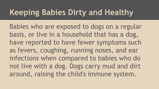 Keeping Babies Dirty and Healthy 
Babies who are exposed to dogs on a regular 
basis, or live in a household that has a dog, 
have reported to have fewer symptoms such 
as fevers, coughing, running noses, and ear 
infections when compared to babies who do 
not live with a dog. Dogs carry mud and dirt 
around, raising the child's immune system. 
 