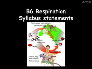 08/09/13
B6 RespirationB6 Respiration
Syllabus statementsSyllabus statements
 