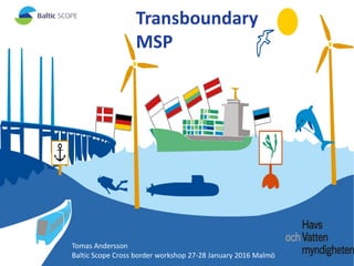 Tomas Andersson
Baltic Scope Cross border workshop 27-28 January 2016 Malmö
Transboundary
MSP
 