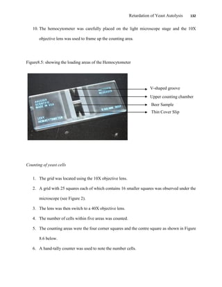 Retardation of Yeast Autolysis 132
10. The hemocytometer was carefully placed on the light microscope stage and the 10X
objective lens was used to frame up the counting area.
Figure8.5: showing the loading areas of the Hemocytometer
Counting of yeast cells
1. The grid was located using the 10X objective lens.
2. A grid with 25 squares each of which contains 16 smaller squares was observed under the
microscope (see Figure 2).
3. The lens was then switch to a 40X objective lens.
4. The number of cells within five areas was counted.
5. The counting areas were the four corner squares and the centre square as shown in Figure
8.6 below.
6. A hand-tally counter was used to note the number cells.
V-shaped groove
Upper counting chamber
witsample
Thin Cover Slip
Beer Sample
 
