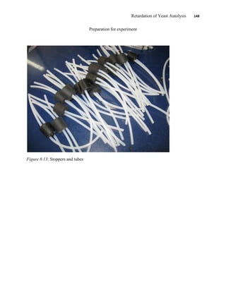 Retardation of Yeast Autolysis 148
Preparation for experiment
Figure 8.13: Stoppers and tubes
 