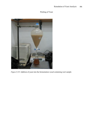 Retardation of Yeast Autolysis 151
Pitching of Yeast
Figure 8.18: Addition of yeast into the fermentation vessel containing wort sample
 