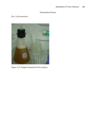 Retardation of Yeast Autolysis 152
Fermentation Process
Day 1 of fermentation
Figure 8.19: Sample extraction for brix analysis
 