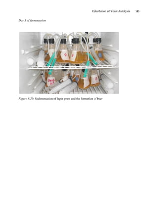 Retardation of Yeast Autolysis 153
Day 3 of fermentation
Figure 8.20: Sedimentation of lager yeast and the formation of beer
 