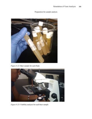 Retardation of Yeast Autolysis 155
Preparation for sample analysis
Figure 8.22: Beer sample for each flask
Figure 8.23: Viability analysis for each beer sample
 