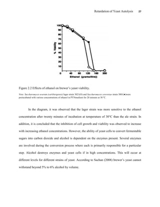 Retardation of Yeast Autolysis 27
Figure 2.2 Effects of ethanol on brewer‟s yeast viability.
Note: Saccharomyces uvarum (carlsbergensis) lager strain 3021(O) and Saccharomyces cerevisiae strain 3001(●)were
preincubated with various concentrations of ethanol in PYNmedium for 20 minutes at 30 ºC.
In the diagram, it was observed that the lager strain was more sensitive to the ethanol
concentration after twenty minutes of incubation at temperature of 30°C than the ale strain. In
addition, it is concluded that the inhibition of cell growth and viability was observed to increase
with increasing ethanol concentrations. However, the ability of yeast cells to convert fermentable
sugars into carbon dioxide and alcohol is dependent on the enzymes present. Several enzymes
are involved during the conversion process where each is primarily responsible for a particular
step. Alcohol destroys enzymes and yeast cells if in high concentrations. This will occur at
different levels for different strains of yeast. According to Sachan (2008) brewer‟s yeast cannot
withstand beyond 5% to 6% alcohol by volume.
 