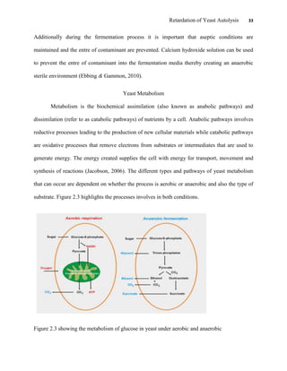 Retardation of Yeast Autolysis 33
Additionally during the fermentation process it is important that aseptic conditions are
maintained and the entre of contaminant are prevented. Calcium hydroxide solution can be used
to prevent the entre of contaminant into the fermentation media thereby creating an anaerobic
sterile environment (Ebbing & Gammon, 2010).
Yeast Metabolism
Metabolism is the biochemical assimilation (also known as anabolic pathways) and
dissimilation (refer to as catabolic pathways) of nutrients by a cell. Anabolic pathways involves
reductive processes leading to the production of new cellular materials while catabolic pathways
are oxidative processes that remove electrons from substrates or intermediates that are used to
generate energy. The energy created supplies the cell with energy for transport, movement and
synthesis of reactions (Jacobson, 2006). The different types and pathways of yeast metabolism
that can occur are dependent on whether the process is aerobic or anaerobic and also the type of
substrate. Figure 2.3 highlights the processes involves in both conditions.
Figure 2.3 showing the metabolism of glucose in yeast under aerobic and anaerobic
 