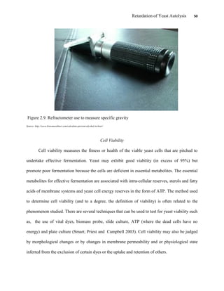 Retardation of Yeast Autolysis 50
Figure 2.9. Refractometer use to measure specific gravity
Source: http://www.brewmorebeer.com/calculate-percent-alcohol-in-beer/
Cell Viability
Cell viability measures the fitness or health of the viable yeast cells that are pitched to
undertake effective fermentation. Yeast may exhibit good viability (in excess of 95%) but
promote poor fermentation because the cells are deficient in essential metabolites. The essential
metabolites for effective fermentation are associated with intra-cellular reserves, sterols and fatty
acids of membrane systems and yeast cell energy reserves in the form of ATP. The method used
to determine cell viability (and to a degree, the definition of viability) is often related to the
phenomenon studied. There are several techniques that can be used to test for yeast viability such
as, the use of vital dyes, biomass probe, slide culture, ATP (where the dead cells have no
energy) and plate culture (Smart; Priest and Campbell 2003). Cell viability may also be judged
by morphological changes or by changes in membrane permeability and or physiological state
inferred from the exclusion of certain dyes or the uptake and retention of others.
 