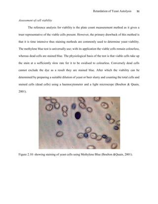 Retardation of Yeast Autolysis 51
Assessment of cell viability
The reference analysis for viability is the plate count measurement method as it gives a
truer representative of the viable cells present. However, the primary drawback of this method is
that it is time intensive thus staining methods are commonly used to determine yeast viability.
The methylene blue test is universally use; with its application the viable cells remain colourless,
whereas dead cells are stained blue. The physiological basis of the test is that viable cells take up
the stain at a sufficiently slow rate for it to be oxidised to colourless. Conversely dead cells
cannot exclude the dye as a result they are stained blue. After which the viability can be
determined by preparing a suitable dilution of yeast or beer slurry and counting the total cells and
stained cells (dead cells) using a haemocytometer and a light microscope (Boulton & Quain,
2001).
Figure 2.10: showing staining of yeast cells using Methylene Blue (Boulton &Quain, 2001).
 