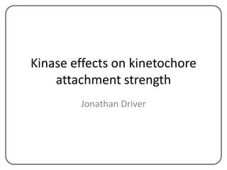Kinase effects on kinetochore
attachment strength
Jonathan Driver
 