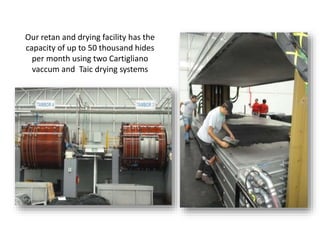 Our retan and drying facility has the
capacity of up to 50 thousand hides
per month using two Cartigliano
vaccum and Taic drying systems
 