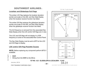 Localizer Flags BOEING 737NG - FLAG & FAULT GUIDANCE.pdf