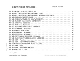 Localizer Flags BOEING 737NG - FLAG & FAULT GUIDANCE.pdf