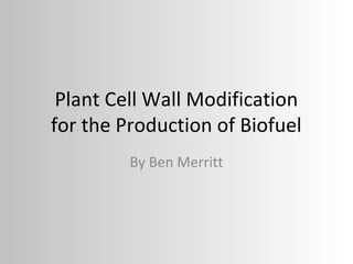Plant Cell Wall Modification
for the Production of Biofuel
By Ben Merritt
 