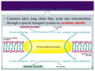 transport of fatty acids | PPTX