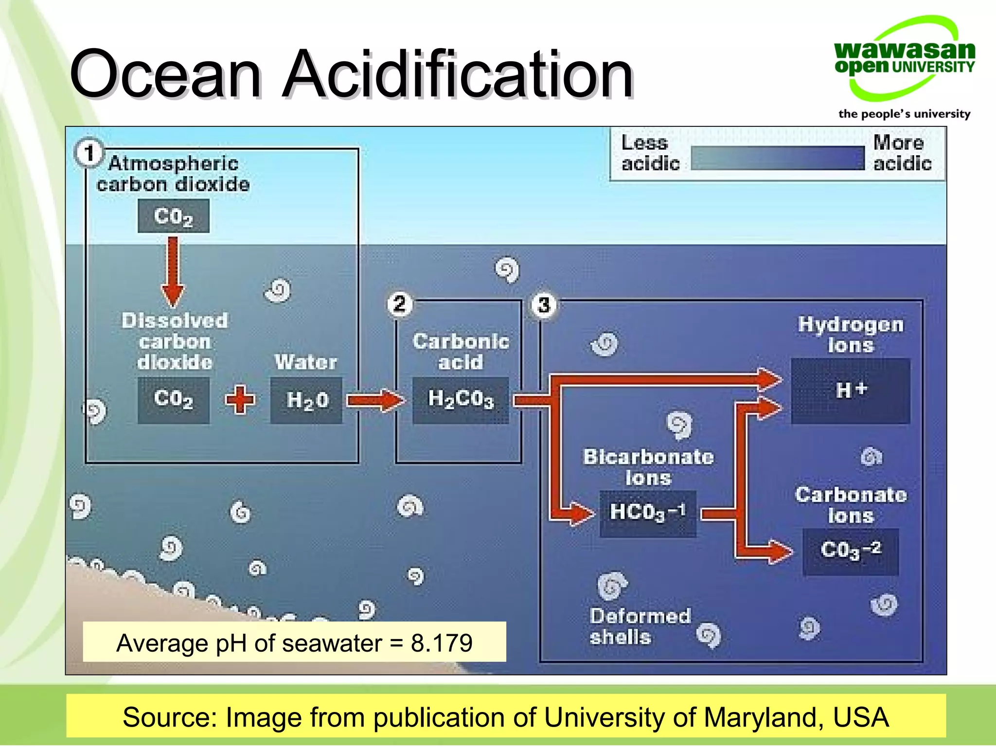 Ocean AcidificationOcean Acidification
Source: Image from publication of University of Maryland, USA
Average pH of seawater = 8.179
 
