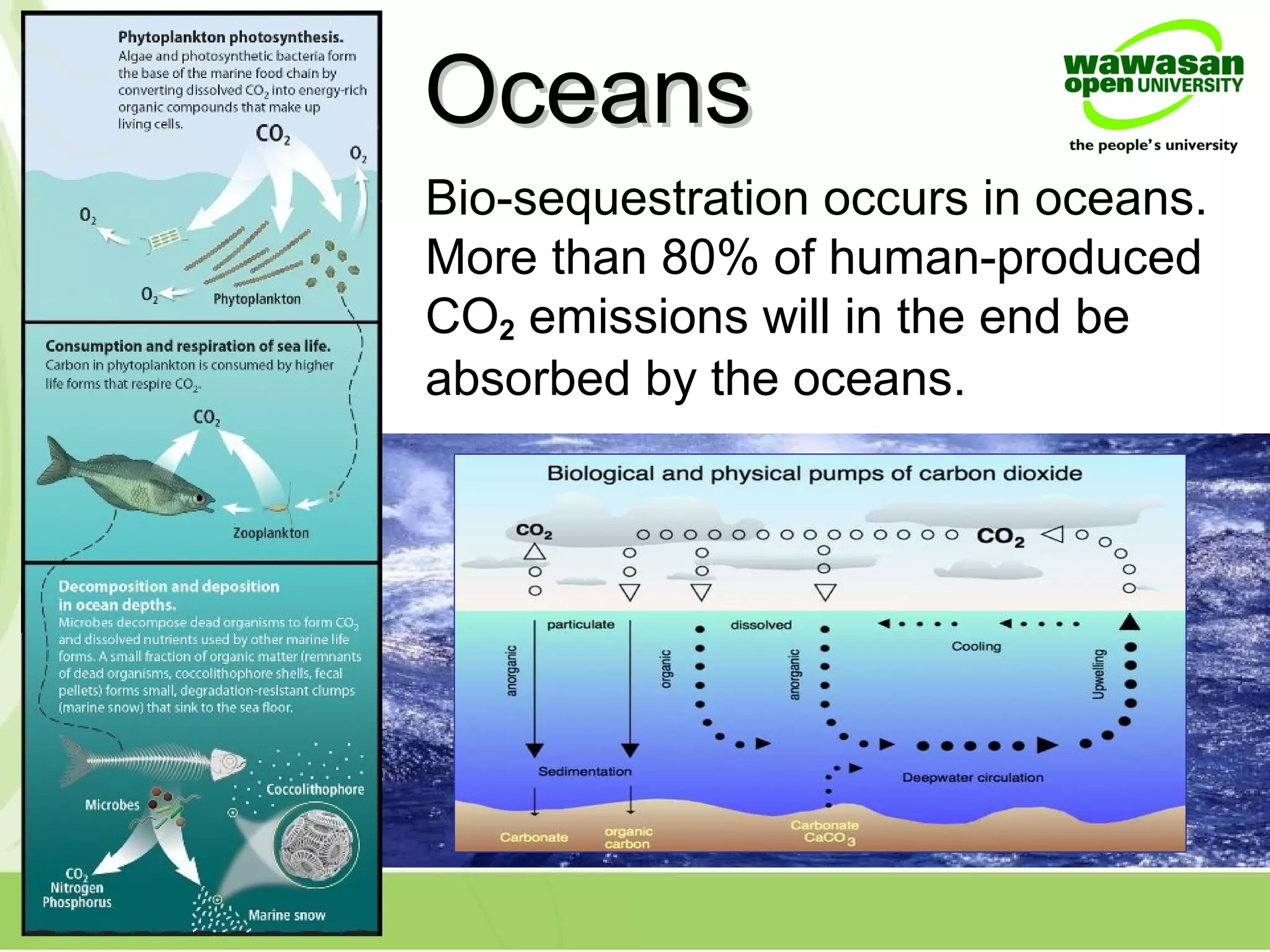 Bio-sequestration occurs in oceans.
More than 80% of human-produced
CO2 emissions will in the end be
absorbed by the oceans.
OceansOceans
 